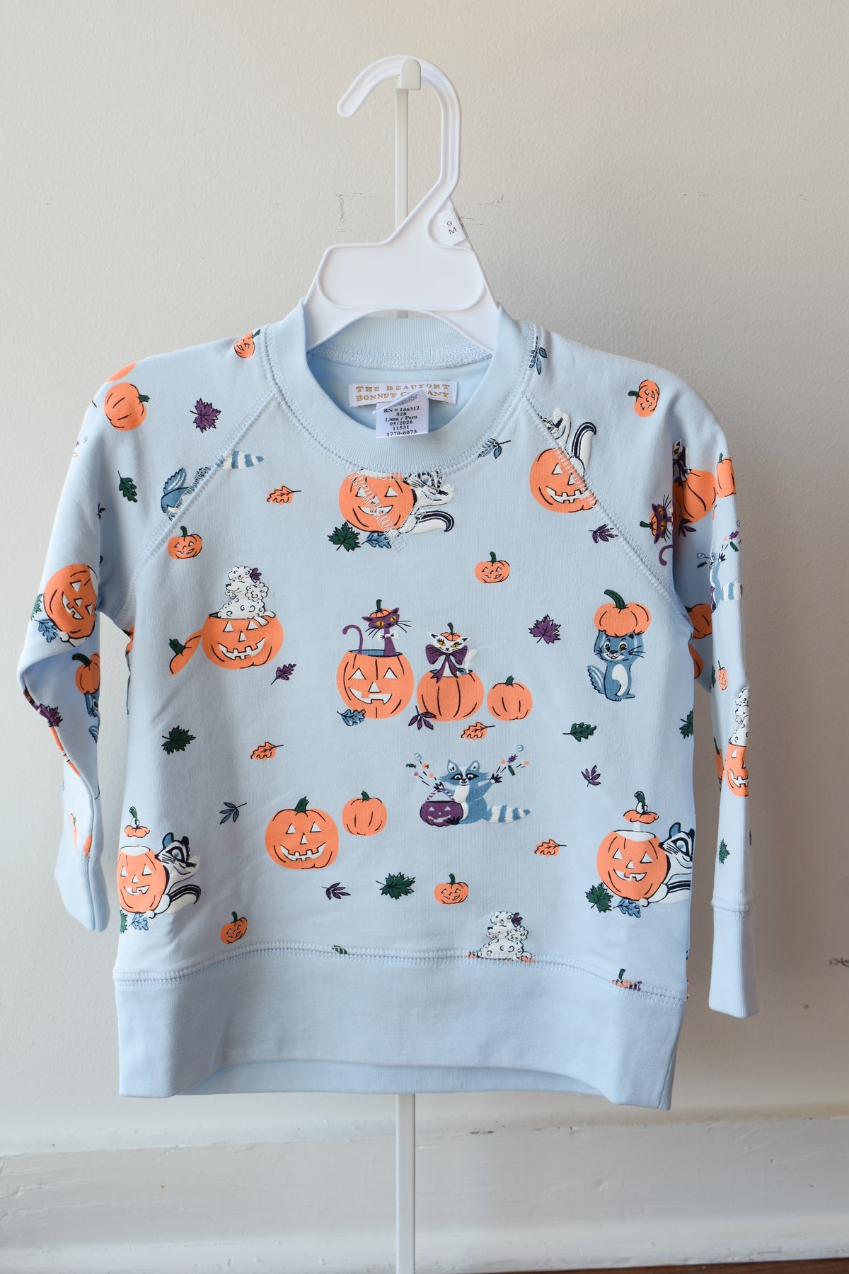 Cassidy Comfy Crewneck-Candy and Critters