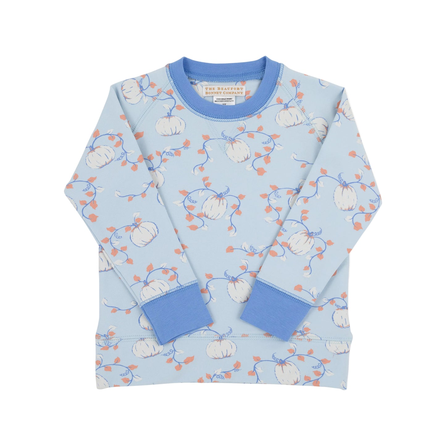Cassidy Comfy Crewneck-'Gourd'geous Blue