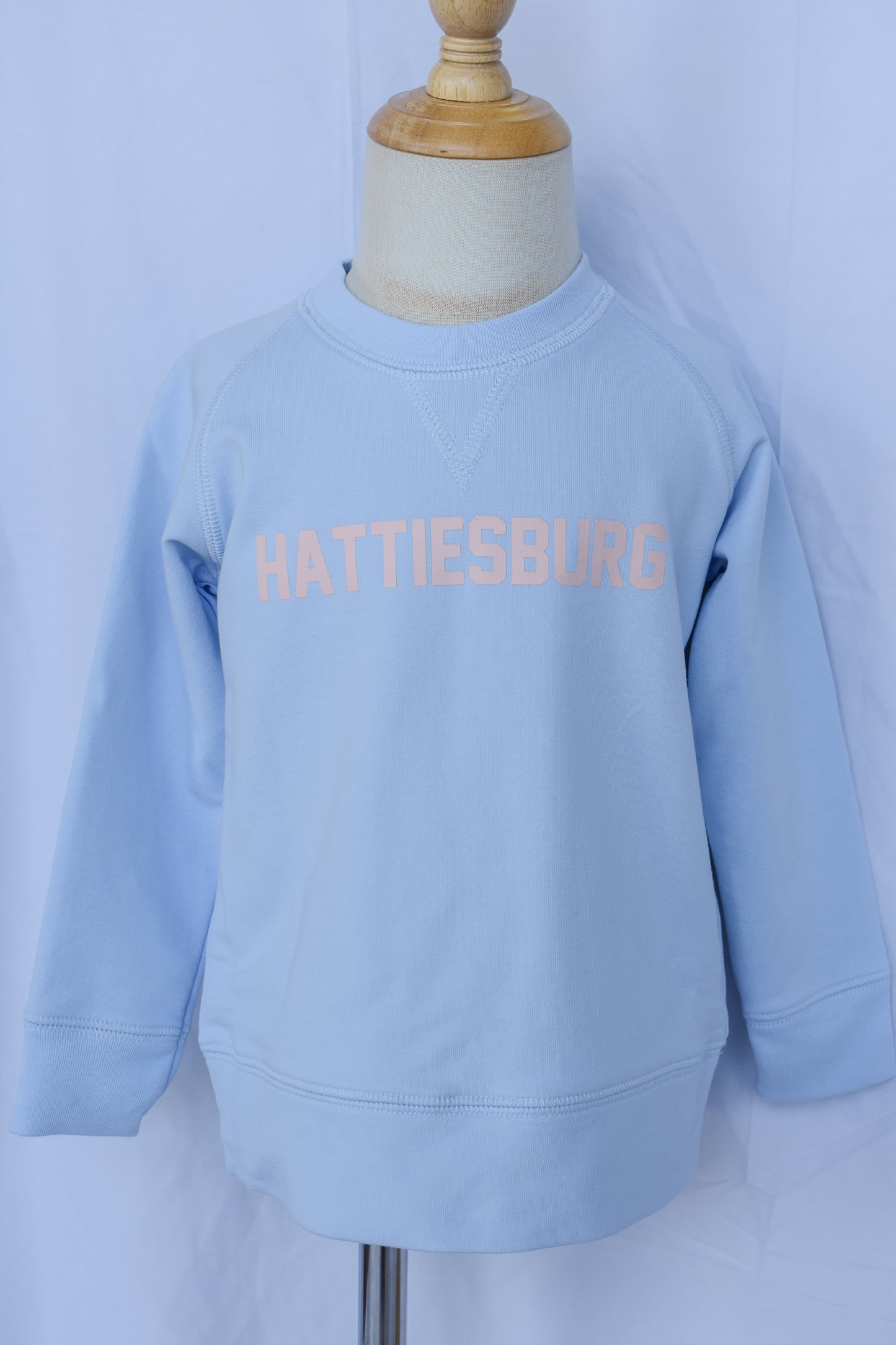 "Hattiesburg" City Hopper Sweatshirt-Beale St Blue/Pink