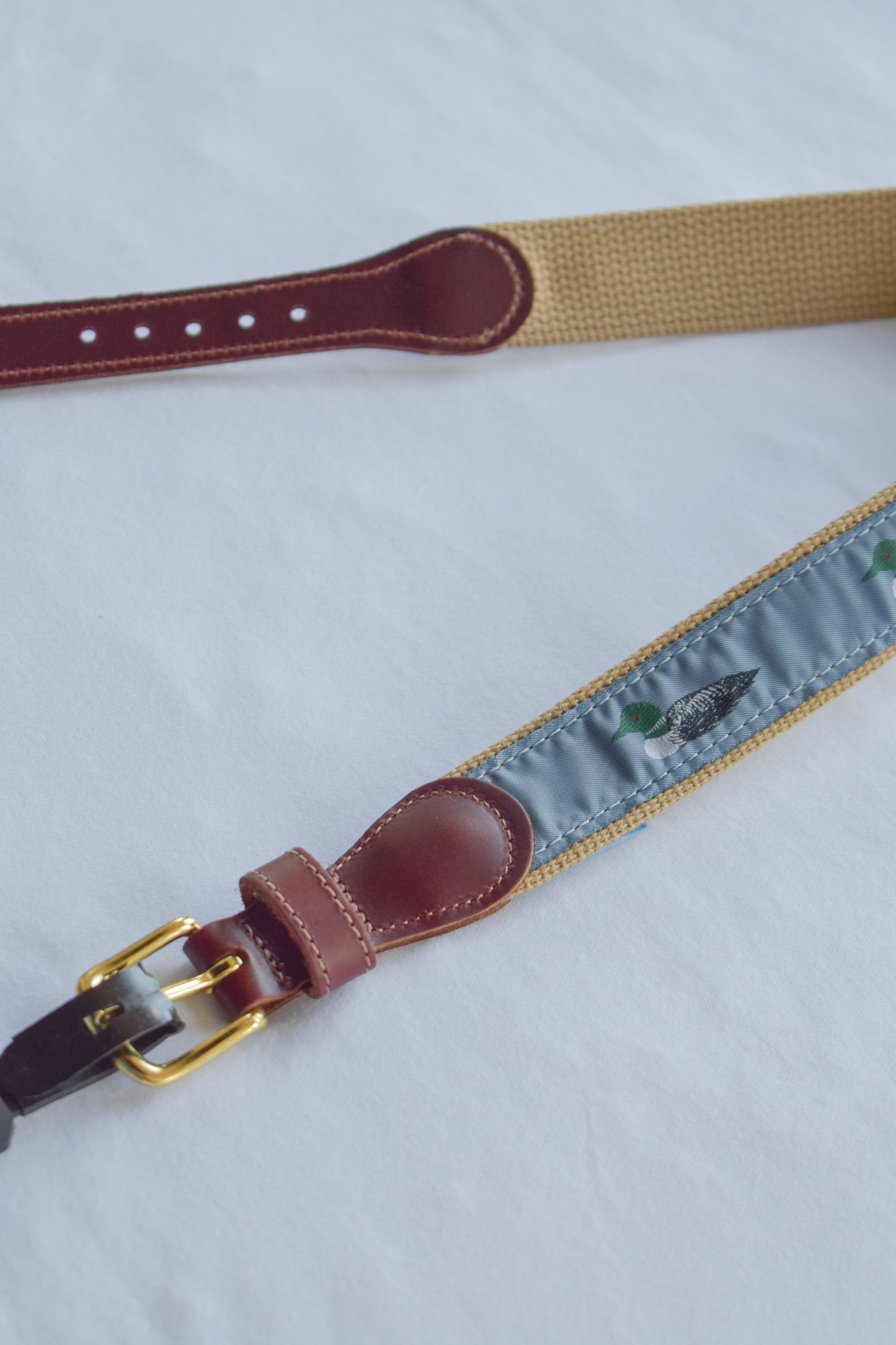 Buddy Belts-Mallard