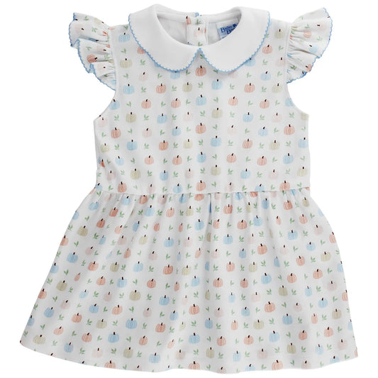 Faintly Fall Pumpkin Printed Girl Knit Dress