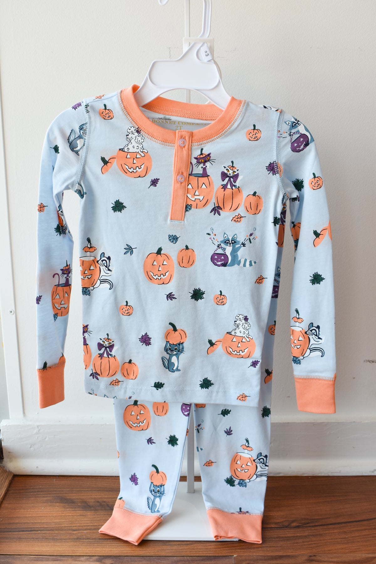 Payton Pajama Set-Blue Candy and Critters