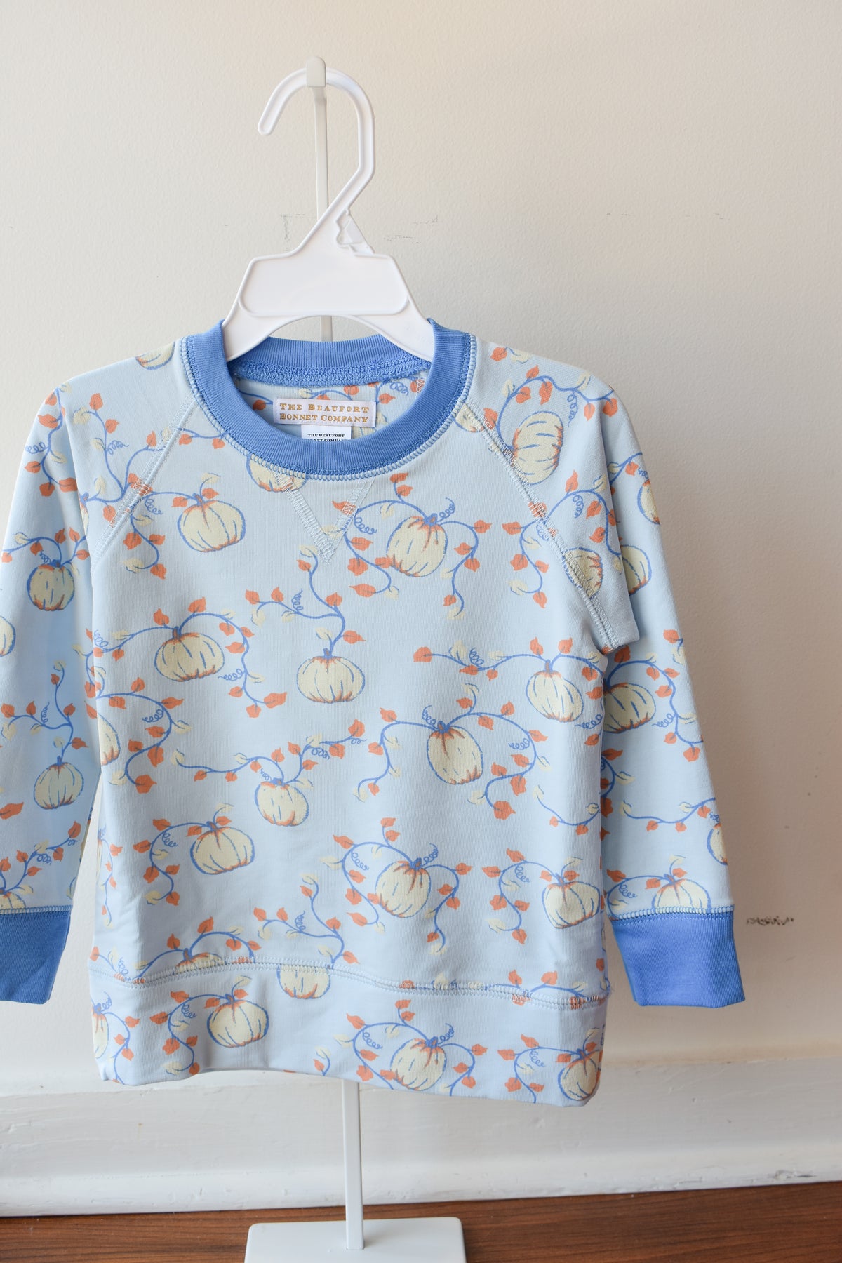 Cassidy Comfy Crewneck-'Gourd'geous Blue