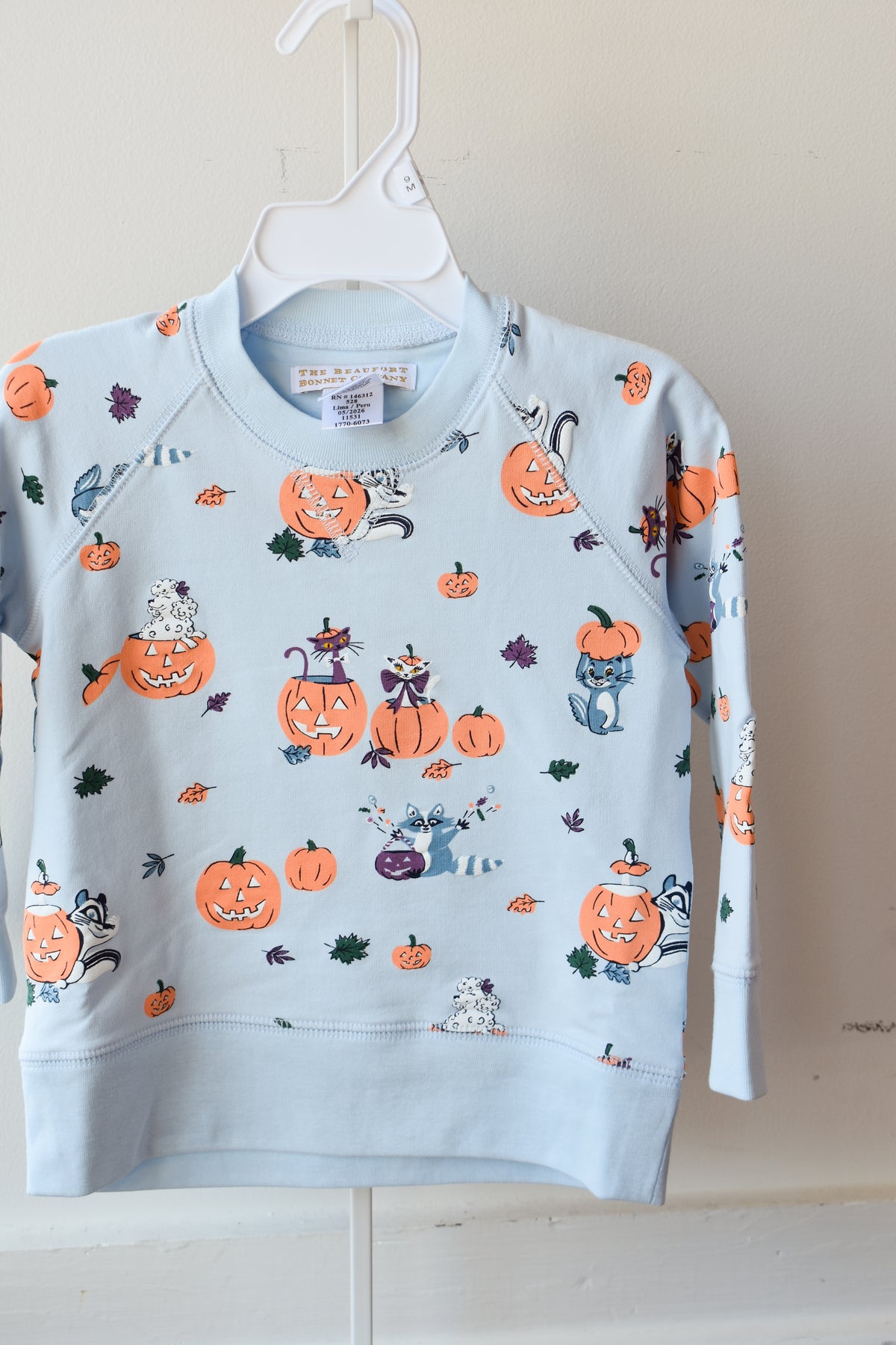 Cassidy Comfy Crewneck-Candy and Critters