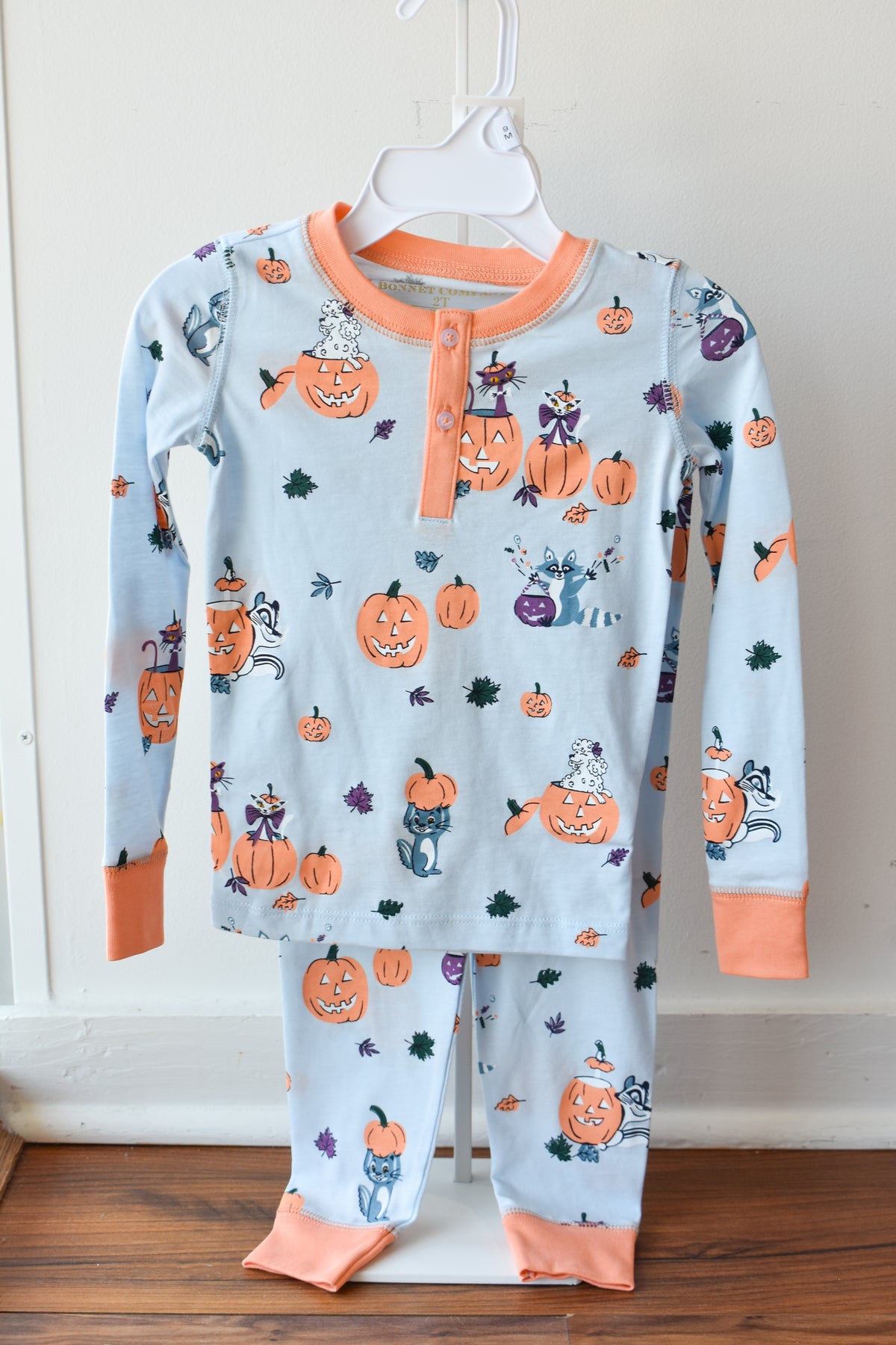 Payton Pajama Set-Blue Candy and Critters