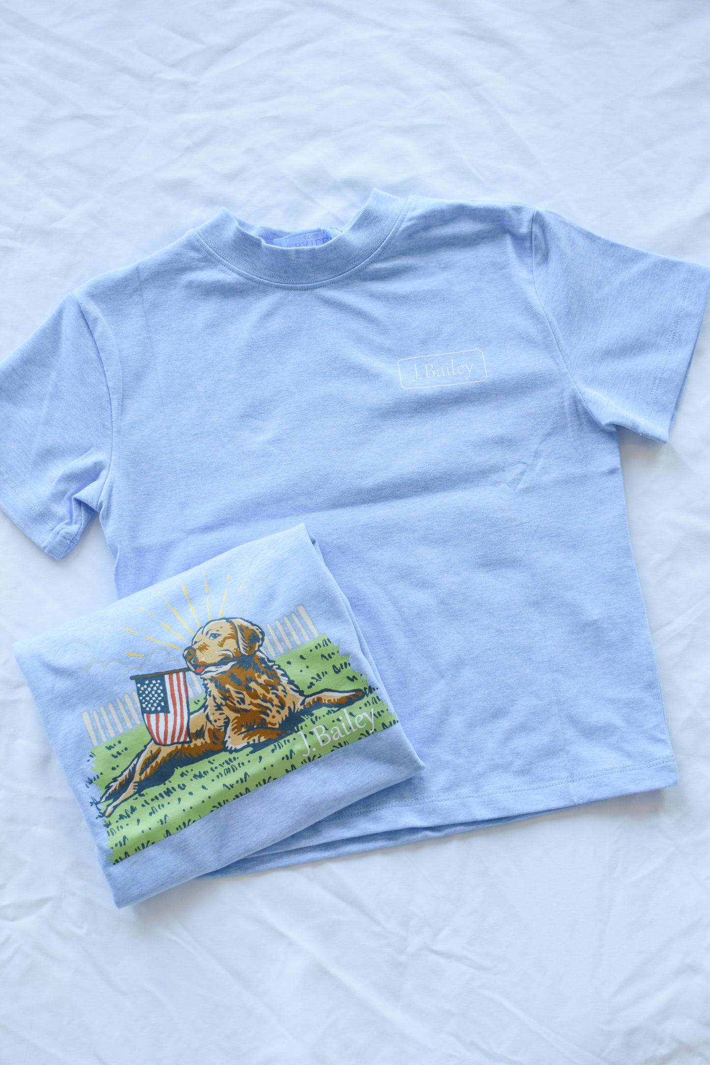Short Sleeve Logo Tee-Retriver on Heathered Blue