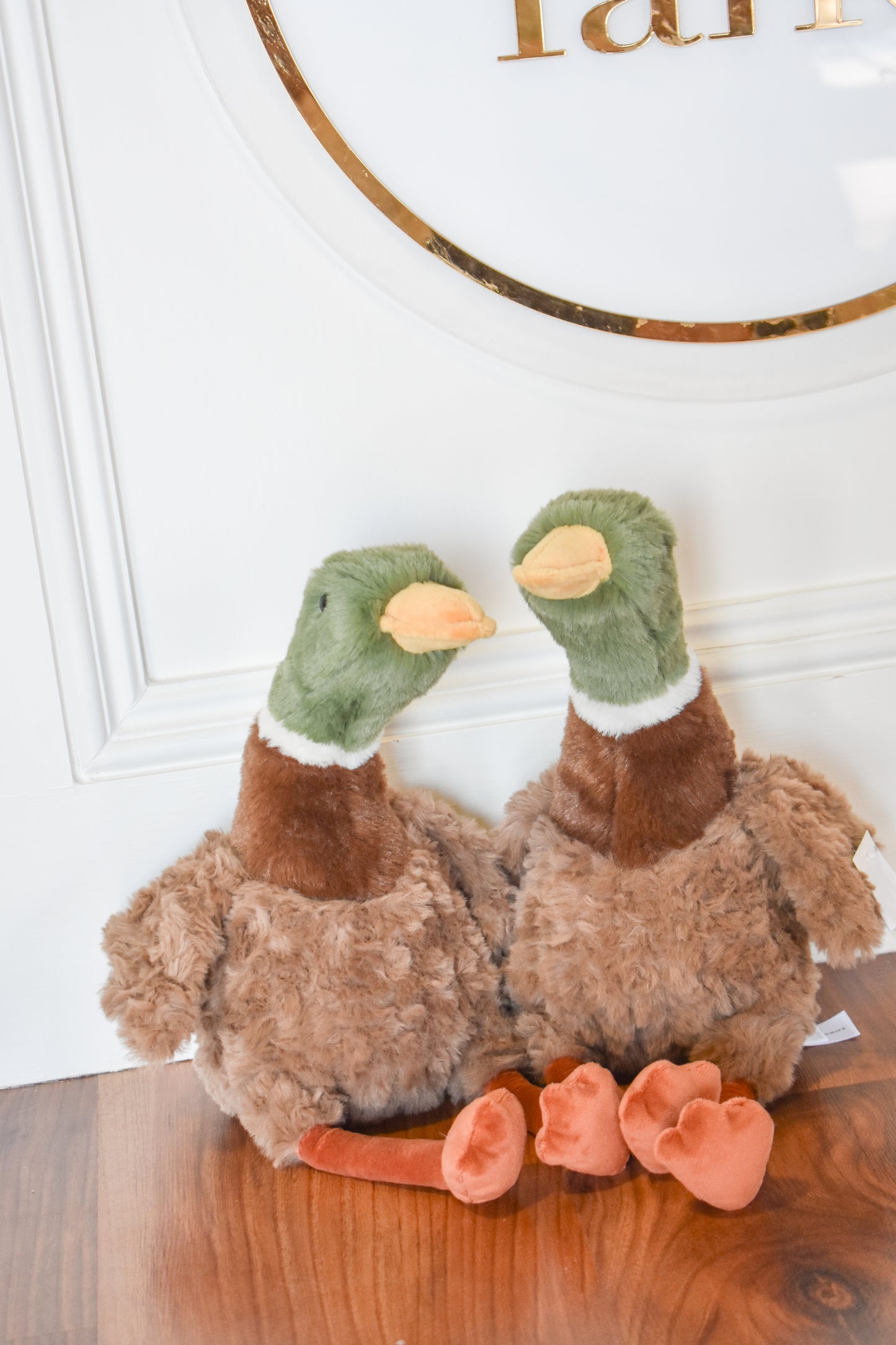 River Mallard Duck-Mon Ami