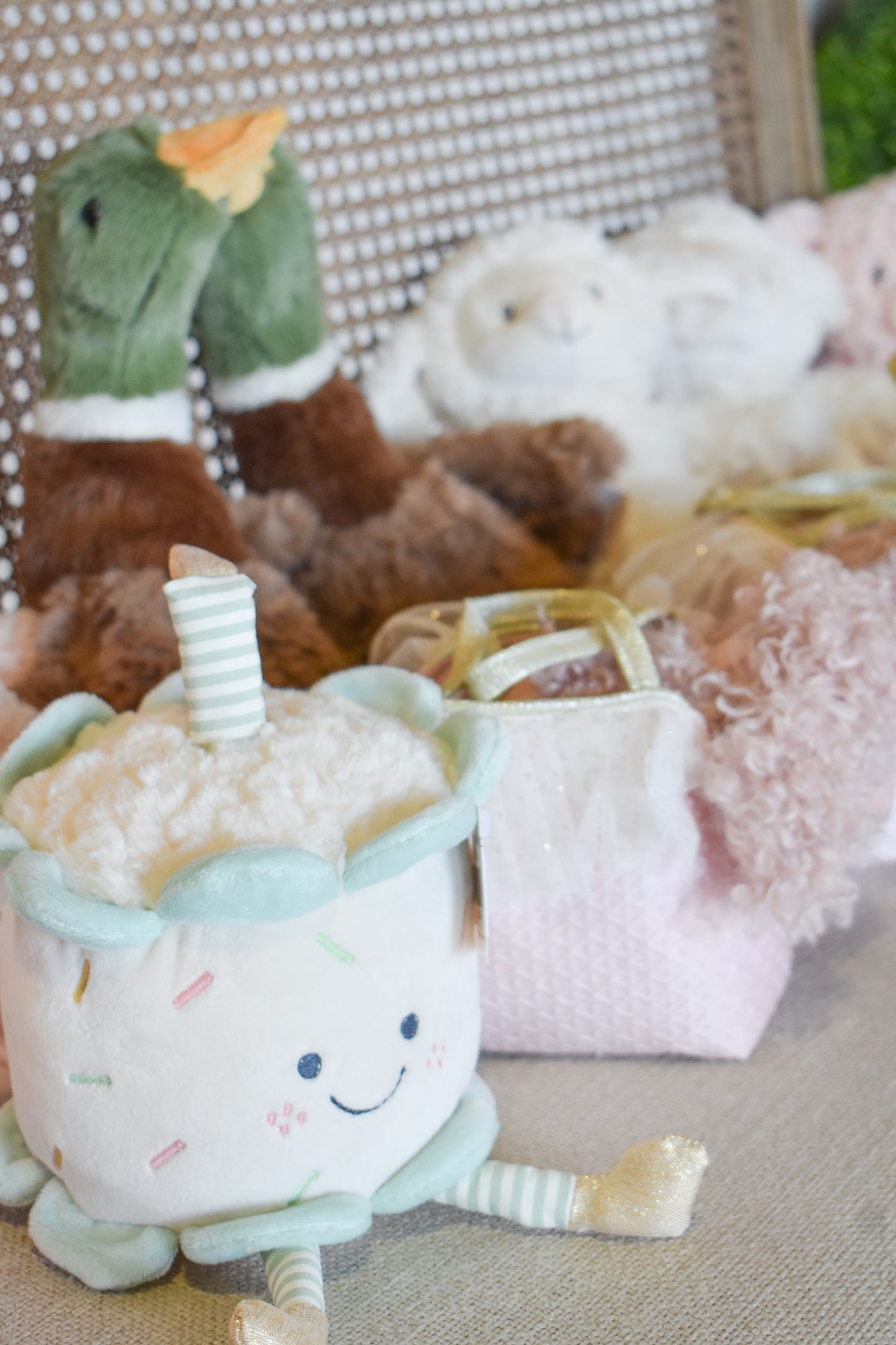 River Mallard Duck-Mon Ami