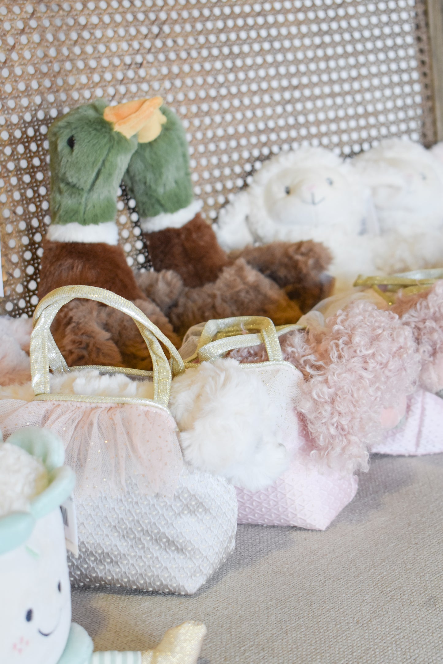 River Mallard Duck-Mon Ami