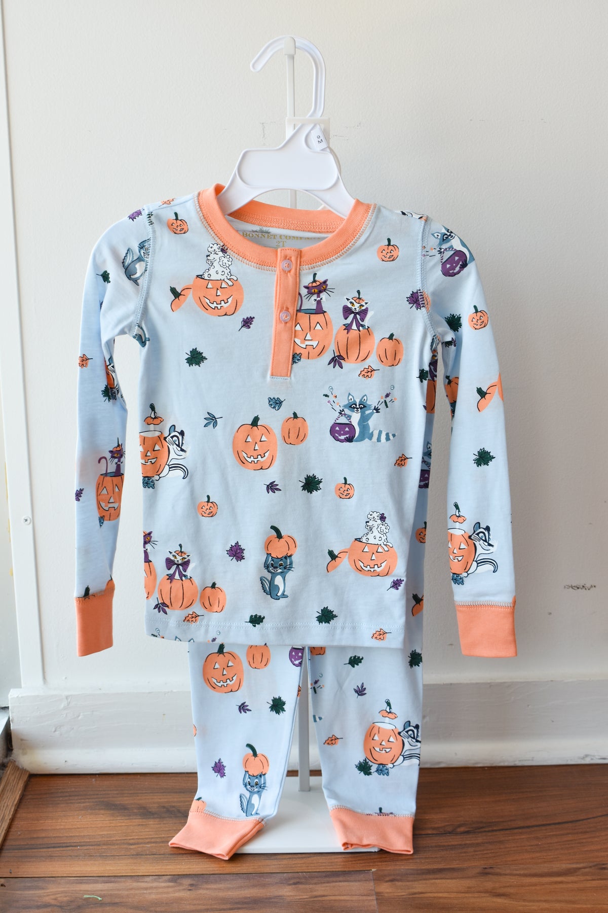 Payton Pajama Set-Blue Candy and Critters