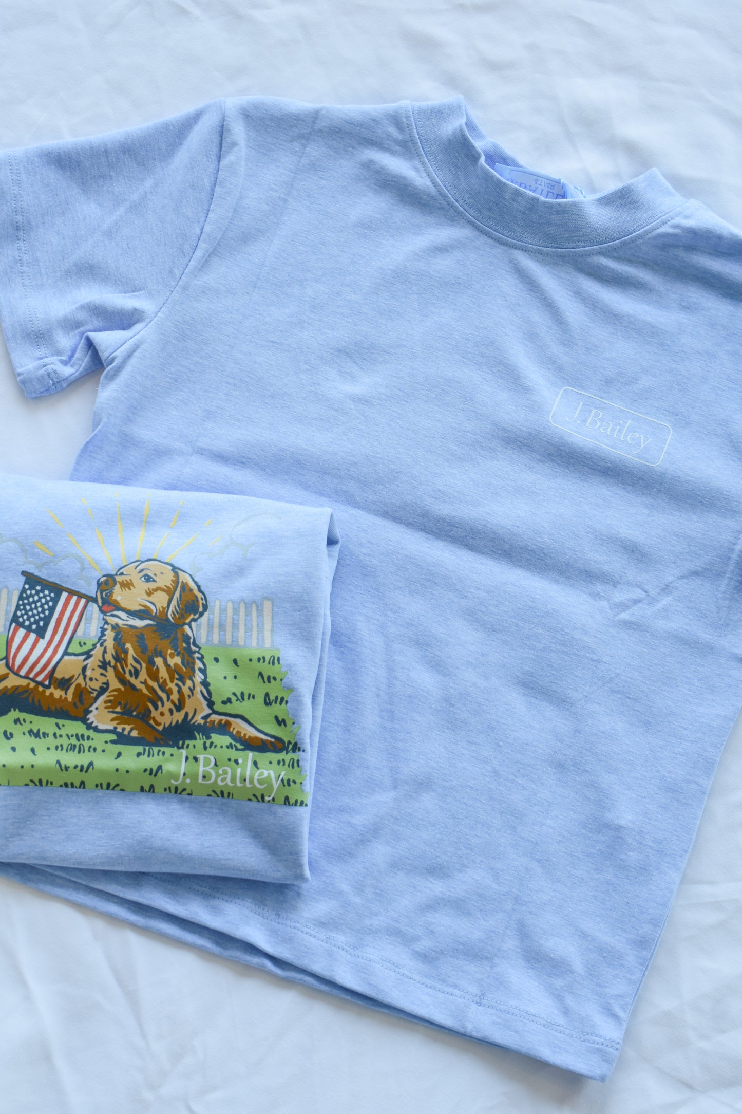 Short Sleeve Logo Tee-Retriver on Heathered Blue