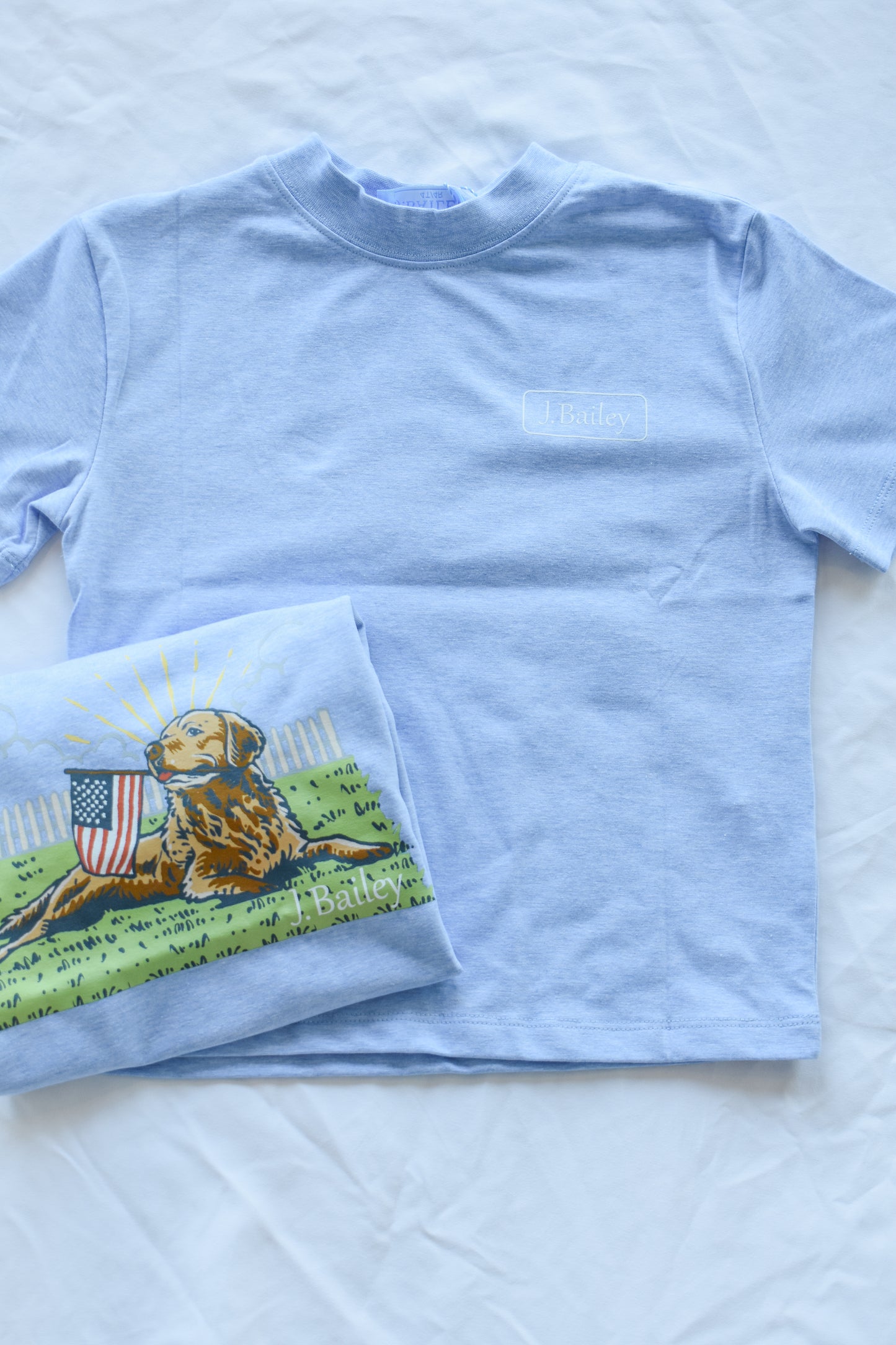 Short Sleeve Logo Tee-Retriver on Heathered Blue