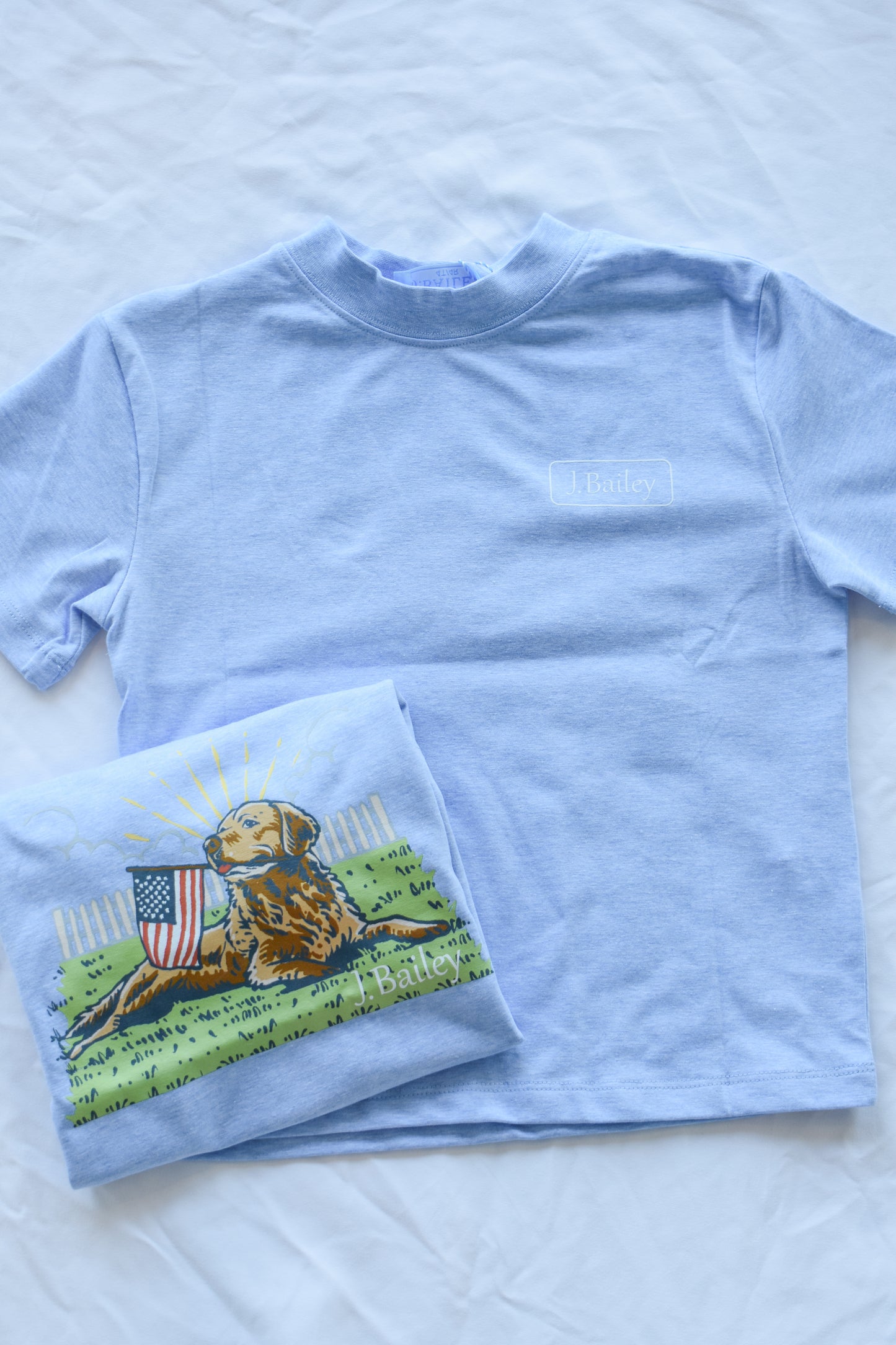 Short Sleeve Logo Tee-Retriver on Heathered Blue