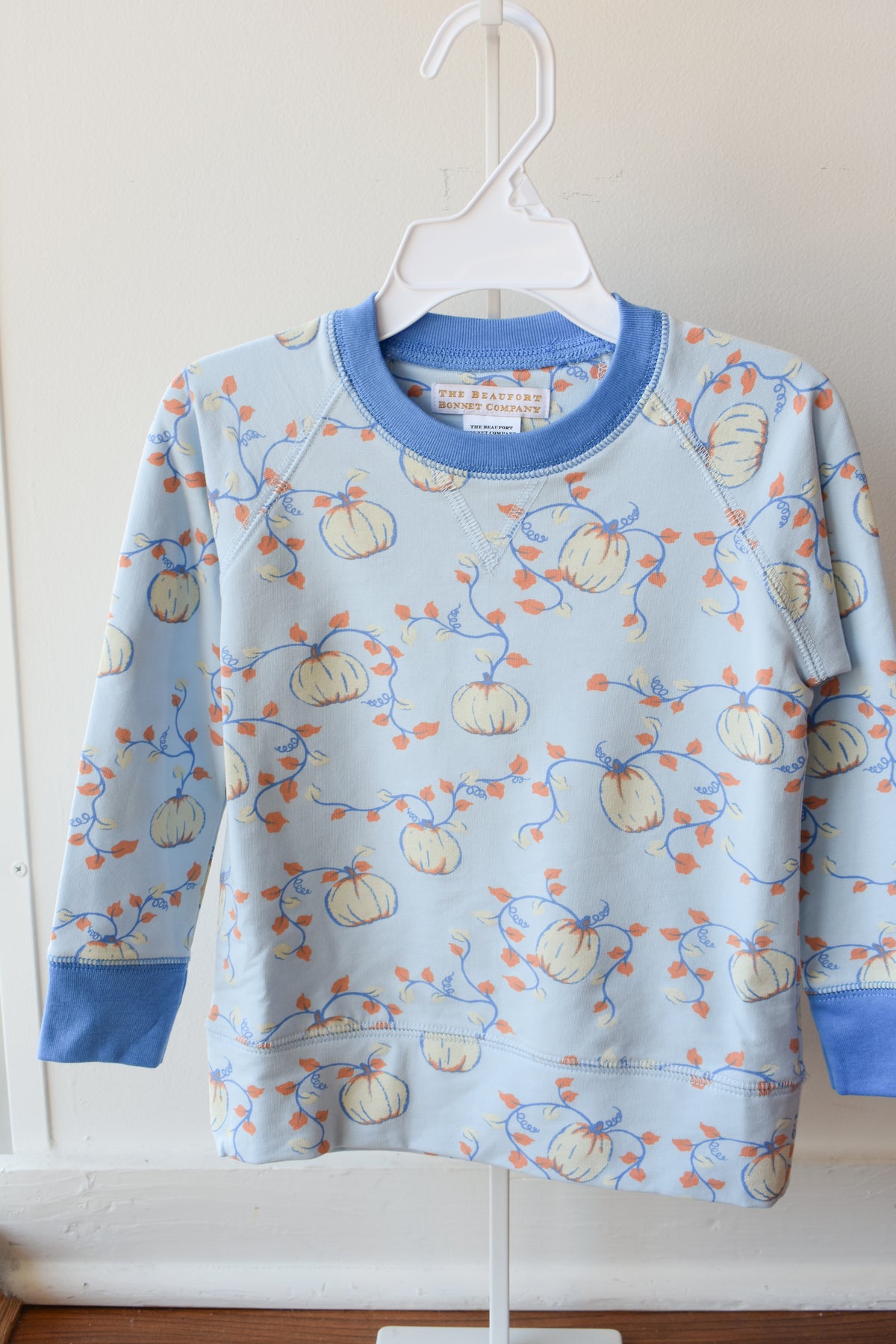 Cassidy Comfy Crewneck-'Gourd'geous Blue