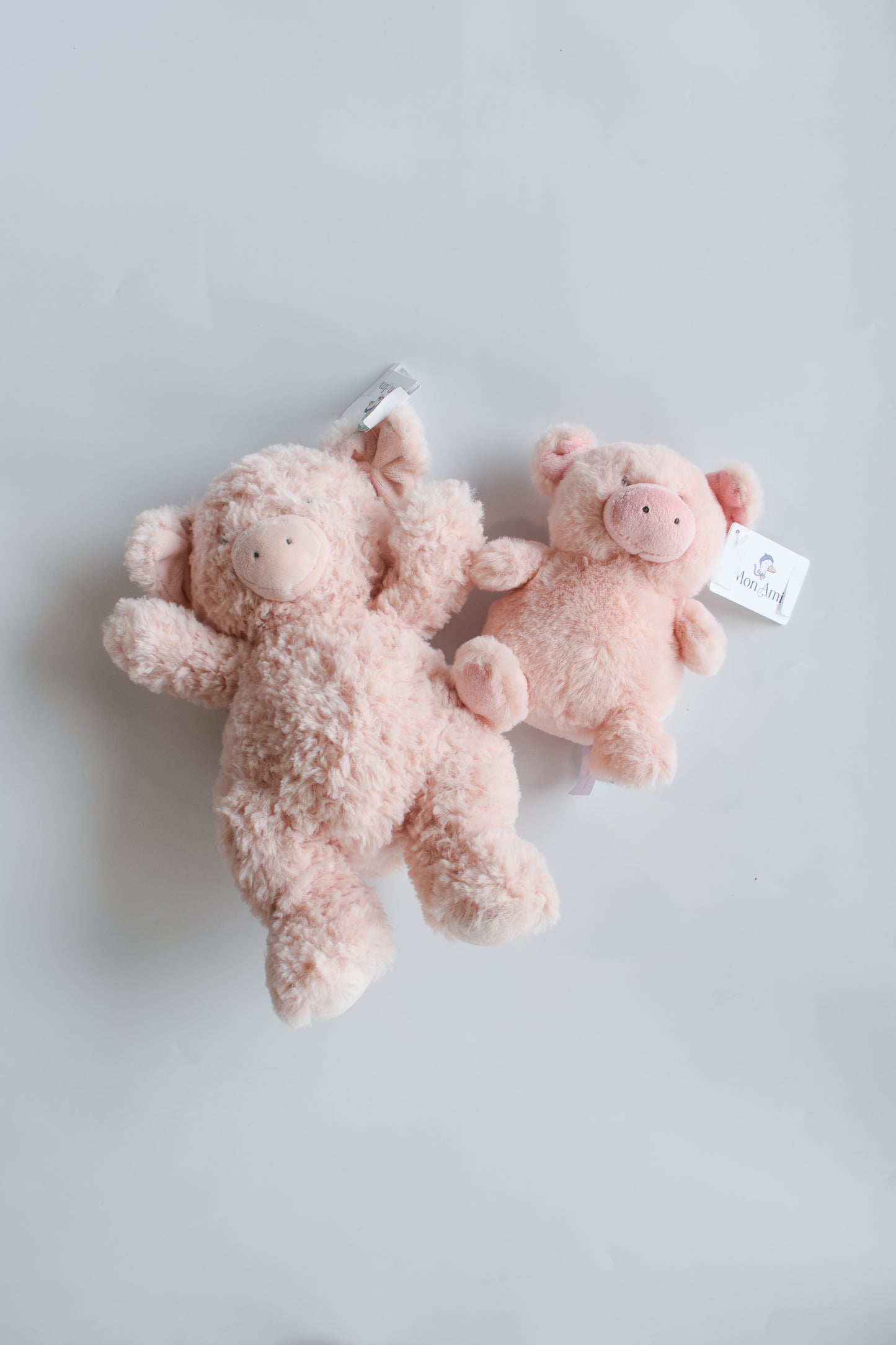 Polly Pig- Mon Ami