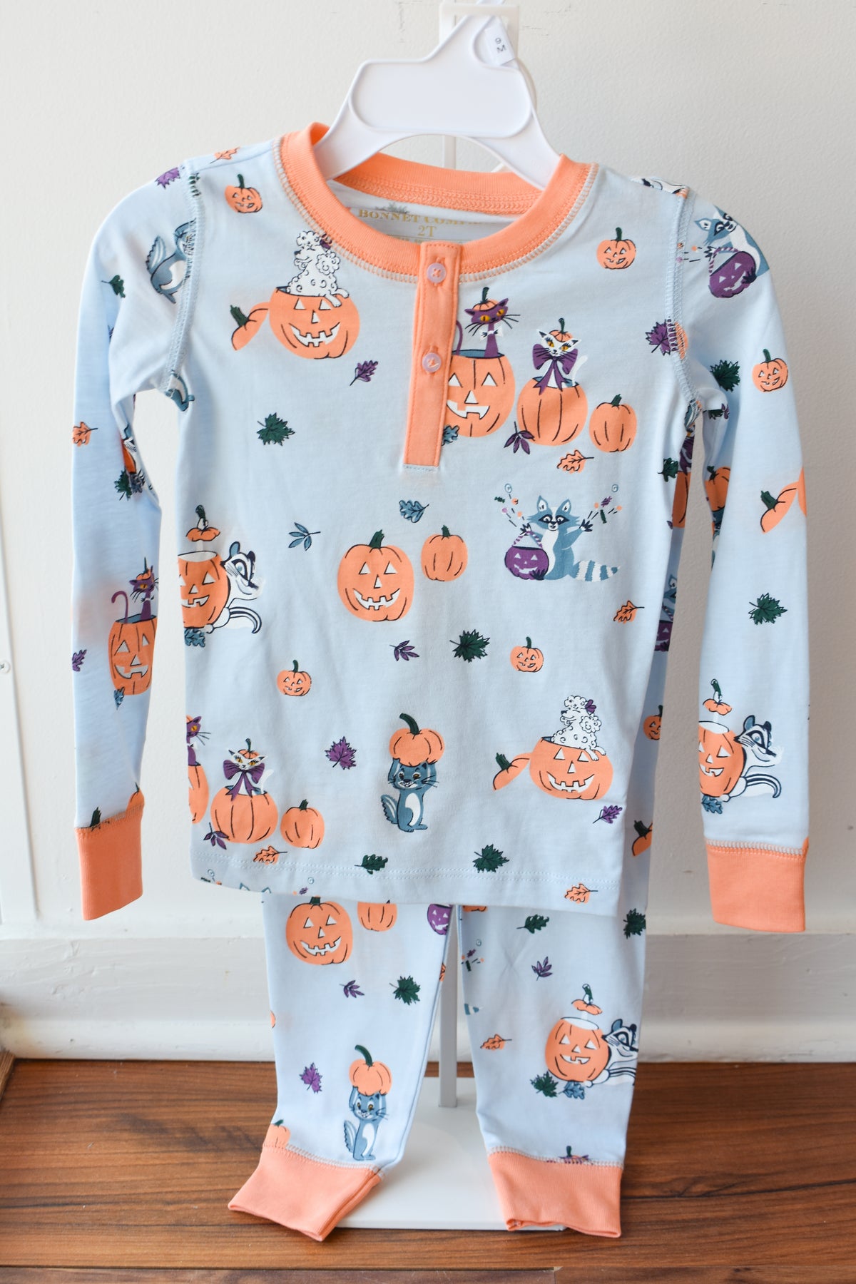Payton Pajama Set-Blue Candy and Critters
