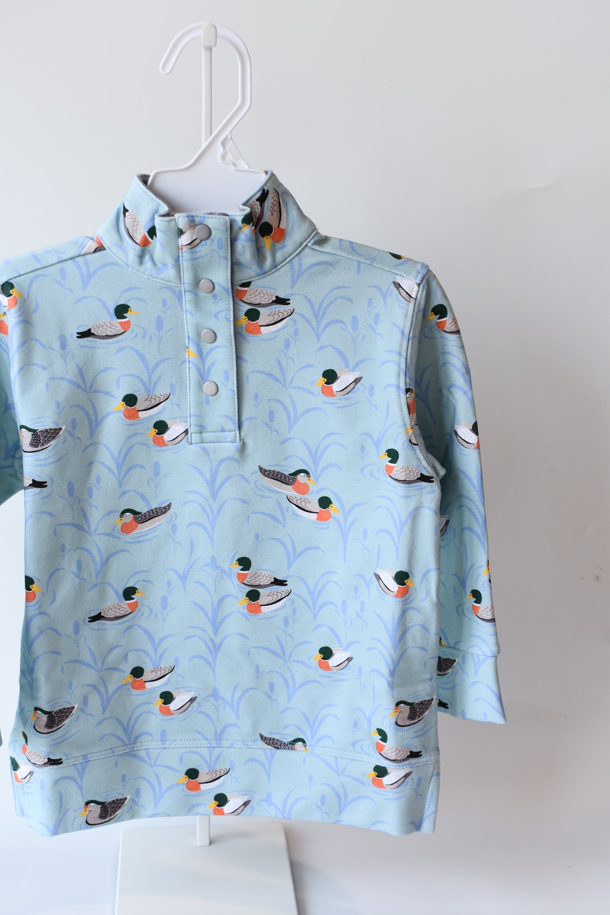 Pendleton Popped Collar-Fine Weather for Ducks