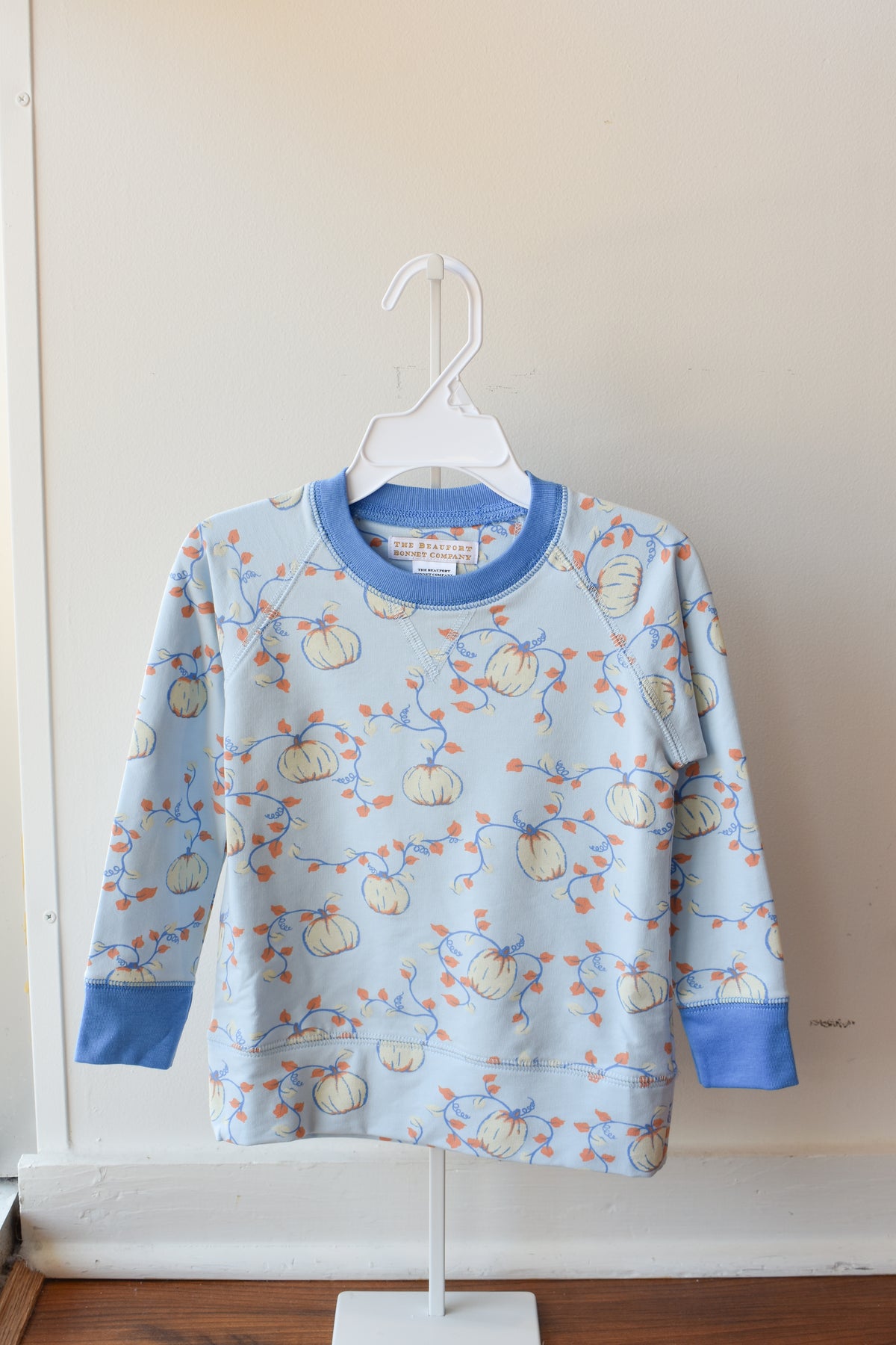 Cassidy Comfy Crewneck-'Gourd'geous Blue