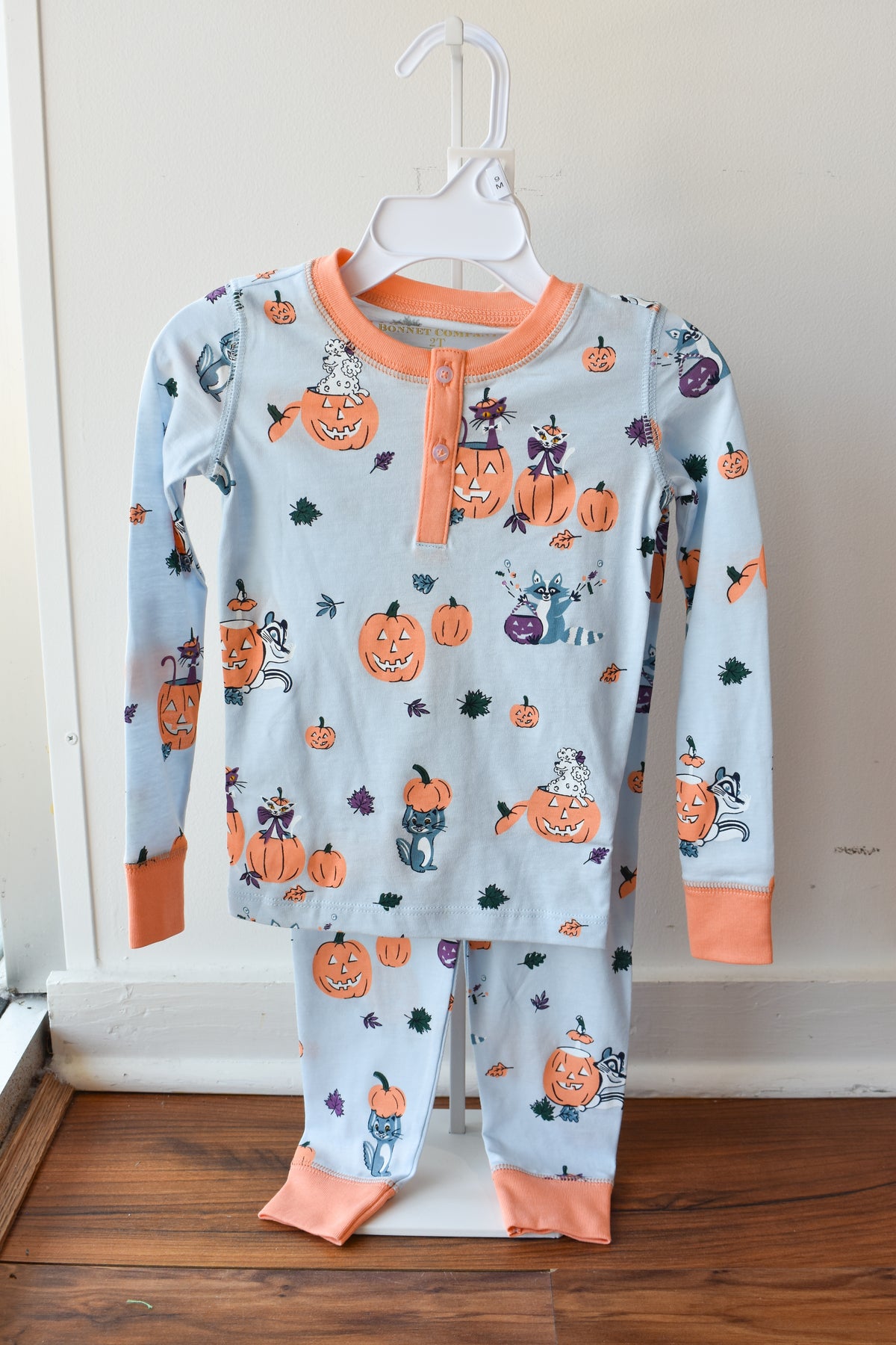 Payton Pajama Set-Blue Candy and Critters