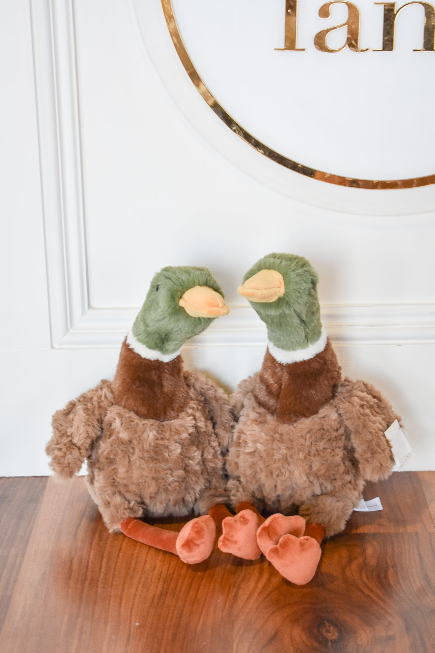 River Mallard Duck-Mon Ami